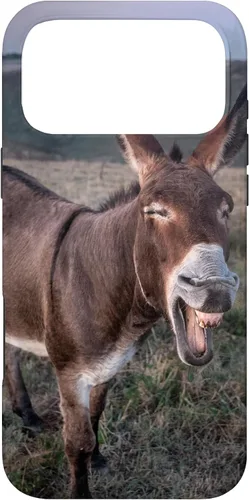 Vista 22 de Funda para iPhone 12/12 Pro Donkey