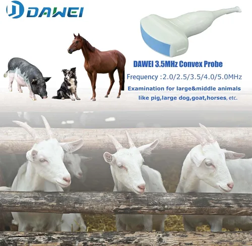 Vista 2 de DAWEI Mu10 - Escáner veterinario de ultrasonido con sonda impermeable B, BB, BM, 4B para veterinario, escáner de ultrasonido, animales, examen