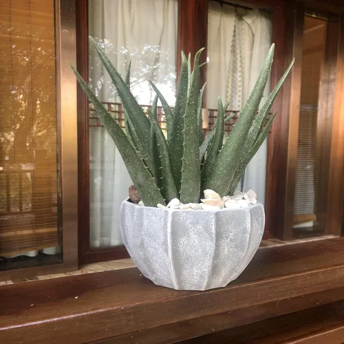 Vista 2 de COTSEN 2 piezas de suculentas artificiales grandes, plantas artificiales de aloe, suculentas artificiales sin maceta, utilizadas para jardín