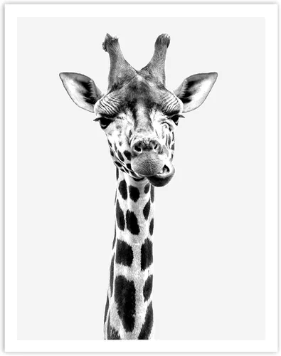 Vista 7 de 4 Piece Safari Zoo Animal Nursery Set, Neutral Wall Decor, Kids Bedroom, Children's Room Animal Print Collage 4 Piece Set, 11 x 14 inches each