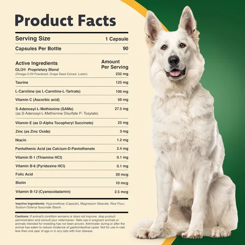 Vista 2 de Ocu-GLO® Cápsulas veganas – Suplemento de visión para perros y gatos maduros – Formulado con luteína, ácidos grasos omega-3 a base de algas