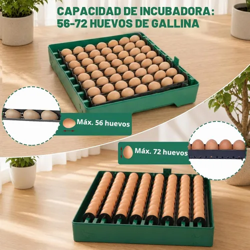 Vista 2 de Incubadora para incubación de 72 huevos para pollo/pato/codorniz