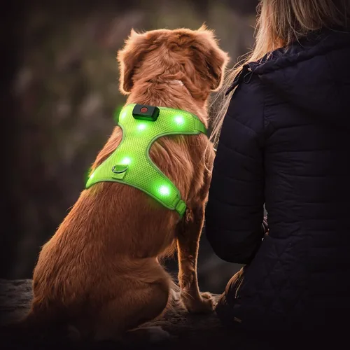 Vista 8 de Flashseen Arnés LED para perro, arnés para mascotas recargable por USB, chaleco reflectante iluminado, ajustable, suave, acolchado, sin tirones