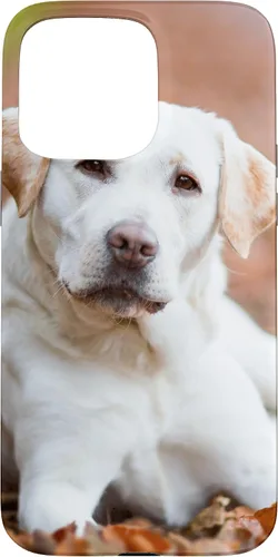 Vista 31 de Labrador Retriever Dog Lover - Carcasa para iPhone 17