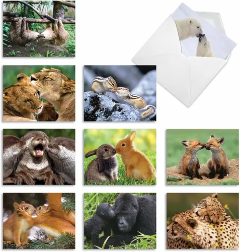 Vista 12 de The Best Card Company - Tarjetas de animales en blanco en caja, 4 x 5.12 pulgadas, mascotas surtidas, zoológico, tarjetas de vida silvestre
