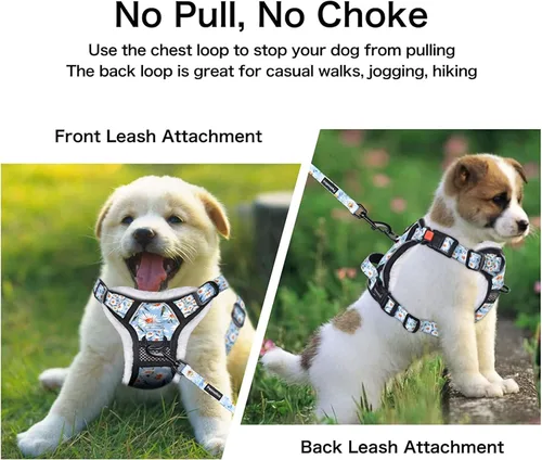Vista 3 de Petmolico Arnés floral y correa para perro, arnés de forro polar para perro con 2 clips para correa y asa de fácil control para perros pequeños