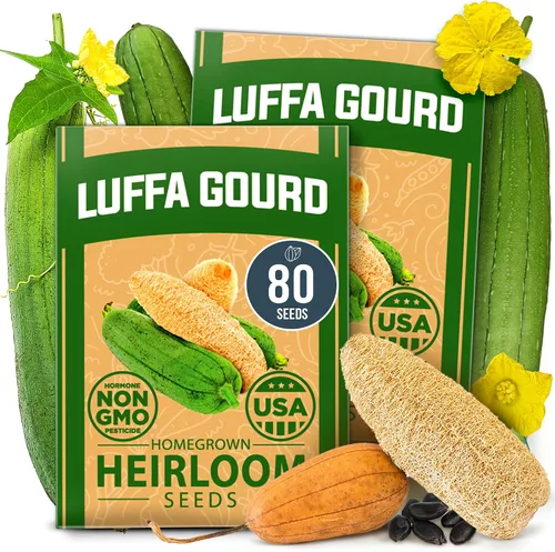 Vista 3 de HOME GROWN Flower Seed Trio - Más de 430 semillas de Estados Unidos sin OMG Lila blanca japonesa, calabazas Luffa y Gloria de la mañana Alta