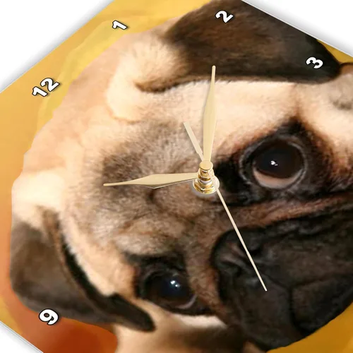 Vista 3 de 3drose Reloj de pared Pug, 10 x 10 pulgadas