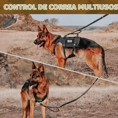Vista 7 de Forestpaw - Juego de arnés táctico para perro, collar y correa elástica, S, color negro