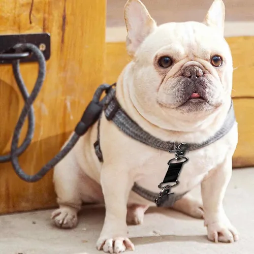 Vista 4 de Clip de seguridad de respaldo para collar de perro pequeño, clip de collar de punta para mini perros, deslizamiento suave de doble extremo