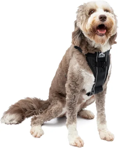 Vista 10 de Kurgo Tru-Fit - Arnés inteligente para caminar para perros, ajuste cómodo, arnés ajustable, reflectante para mascotas, liberación rápida