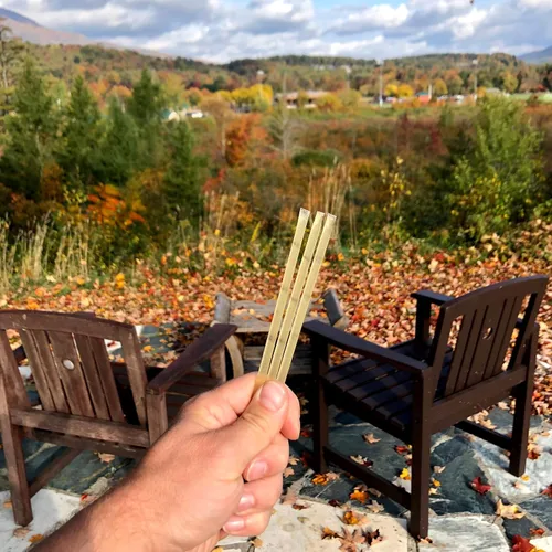 Vista 5 de Palitos de miel de trébol para té, viajes y aperitivos. Los paquetes de miel pura de alta calidad son frescos de la granja de los apicultores