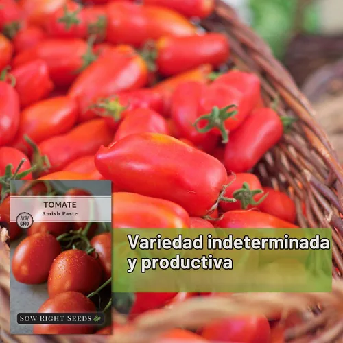 Vista 9 de Sow Right Seeds - Pasta Amish Semilla de tomate para plantar tomates