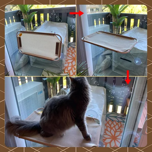 Vista 6 de Percha de seguridad para ventana de gato, con soporte inferior de 360 °, para cualquier gato