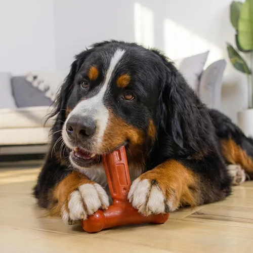 Vista 6 de Outward Hound Dogwood Hold & Chew - Juguete masticable duradero para perros, aroma a carne de res, grande