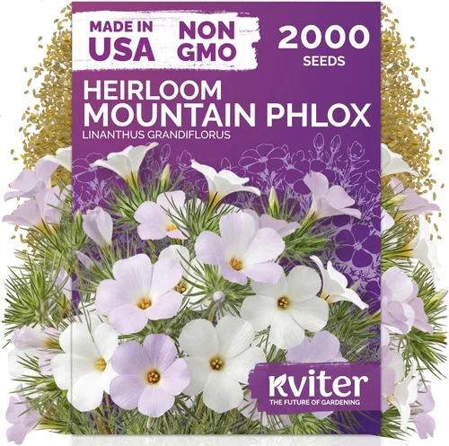 Vista 130 de 500 Ball's Orange Calendula Heirloom Flower Seeds, Calendula Officinalis