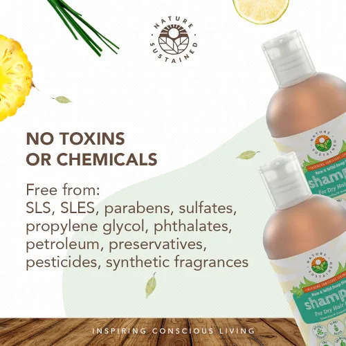 Vista 7 de Nature Sustained Champú Natural para Cabello Seco y Cuero Cabelludo - Orgánico, Crudo y Silvestre con Probióticos, Hipoalergénico, Champú Hidratante