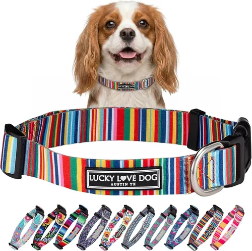 Vista 72 de Lucky Love Dog - Collar de perro ajustable con hebilla de fácil clic para los pequeños, duradero y cómodo para perros machos y hembras, collar