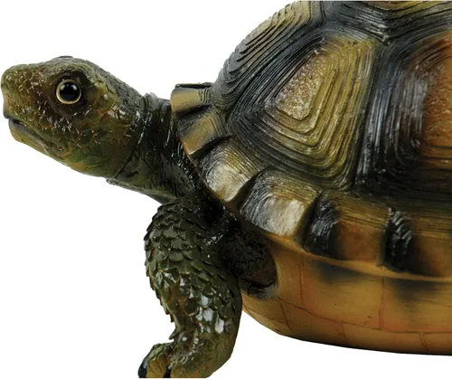 Vista 4 de Desert Turtle by Michael Carr Designs - Figura de tortuga para exteriores, para jardines, patios y césped (80061), verde