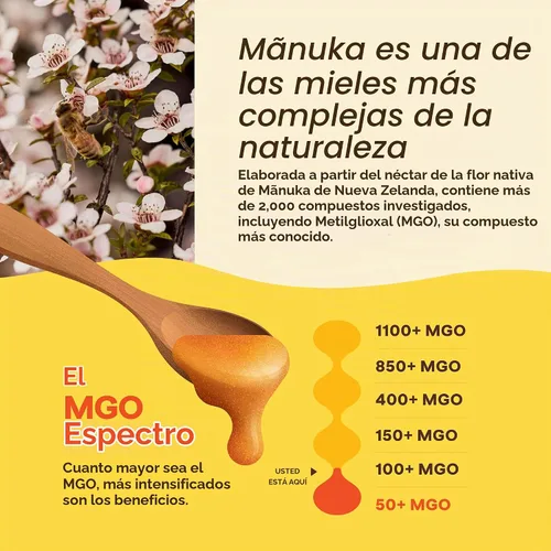 Vista 5 de Wedderspoon Miel de manuka cruda premium, 50+ MGO, 8.8 onzas, miel de Nueva Zelanda sin pasteurizar, desde nuestras colmenas hasta tu hogar