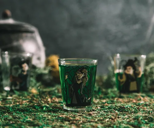 Vista 4 de Disney Hocus Pocus Sanderson Sisters Portraits - Vasos de chupito de 2 onzas, juego de 4 Home Bar Drinkware