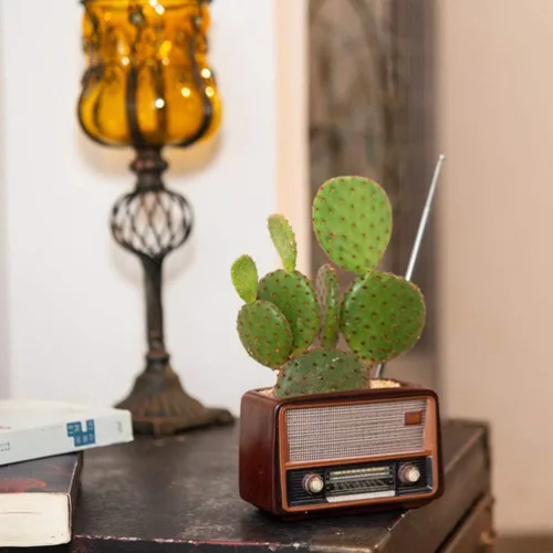 Vista 2 de BESTOYARD Maceta con forma de radio creativa retro maceta suculenta planta contenedor escritorio maceta cactus planta maceta
