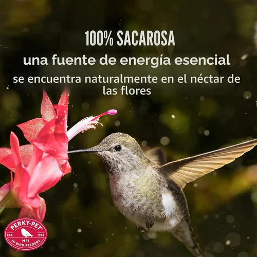 Vista 4 de Perky-Pet – Néctar concentrado transparente para colibrí Makes 96 fl oz Ready-to-Use Hummingbird Feed for Wild Bird Feeders, 100% Sucrose Formula