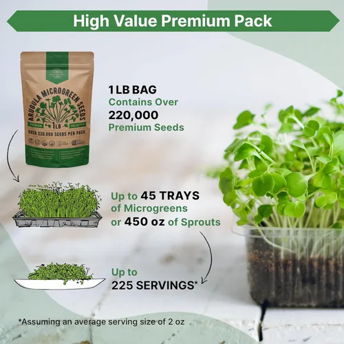 Vista 3 de Organo Republic Semillas de Rúcula para Germinación y Microgreens - Kit de Semillas de Brotes Sin OGM, Reliquia, Bolsa Resellable de 1 libra