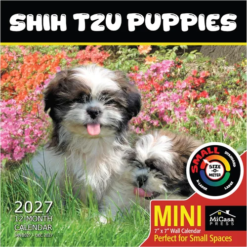 Vista 63 de MICASA PRESS Calendario de pared de Australian Shepherds Aussies 2027 02 - Pastores australianos