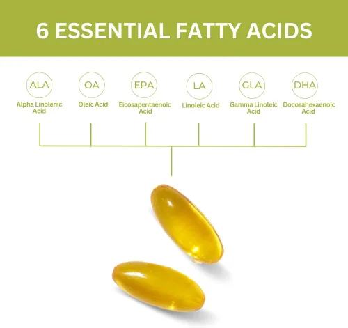 Vista 5 de Youngevity EFA Plus 90-4 Pack