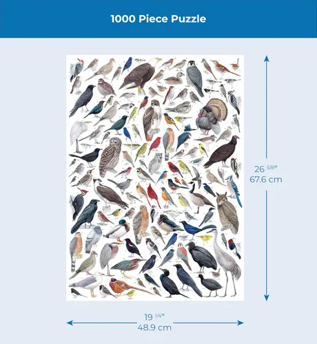 Vista 4 de New York Puzzle Company - Cornell Lab Birds of Eastern/Central North America - Rompecabezas de 1000 piezas para noches de juego familiares por Pedro