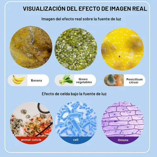 Vista 5 de Microscopio trinocular 40X-5000X de aumento de grado de laboratorio con etapa mecánica dual y microscopio de cámara USB HD para adultos