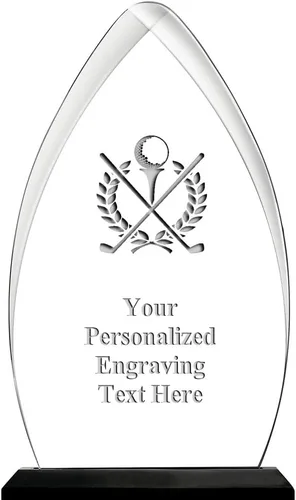 Vista 22 de Crown Awards Premio Acrílico Personalizado con Grabado Gateway Skyline de 6.75 Pulgadas