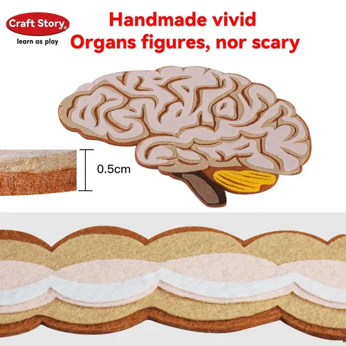 Vista 6 de Craftstory Partes del cuerpo de enseñanza historias de tablero de fieltro para niños pequeños, manualidades de artes, juguetes para niños
