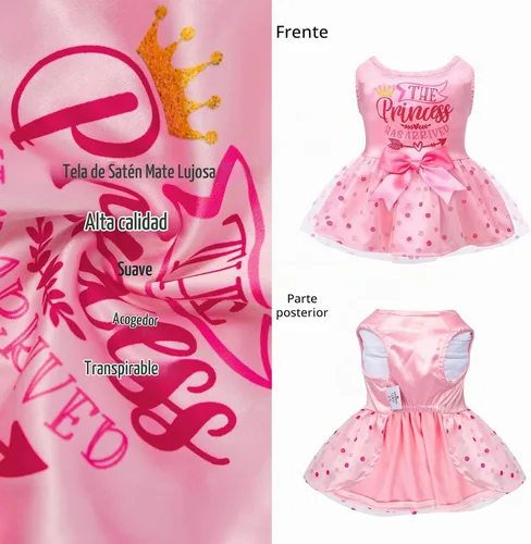 Vista 3 de CuteBone Vestido de cumpleaños para niña, ropa de princesa, disfraz de gato, ropa para perros pequeños, traje para mascotas, DD20XXS La princesa ha