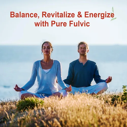 Vista 8 de Vital Earth Minerals Fulvic Minerals Liquid - Suplemento de ácido fúlvico con más de 70 oligominerales, electrolitos para energía y vitalidad, 32