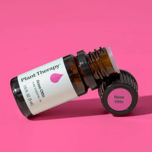 Vista 6 de Plant Therapy Aceite esencial Rose Otto 5 mL (1/6 oz) 100% puro, sin diluir, aromaterapia, cuidado de la piel, relajante y romántico aroma