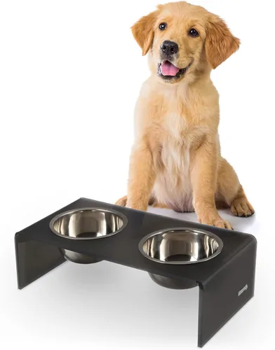Vista 20 de DBL2000B Keaton - Comedero rectangular elevado moderno de lucita para mascotas de 5 pulgadas, tamaño pequeño/mediano, con 2 cuencos de acero