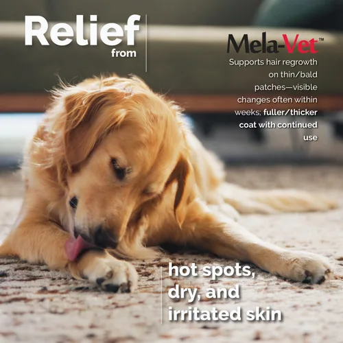 Vista 9 de Melatonina Calmante Masticables suaves para perros, formulados por veterinarios para proporcionar relajación y alivio de la ansiedad, ayuda a
