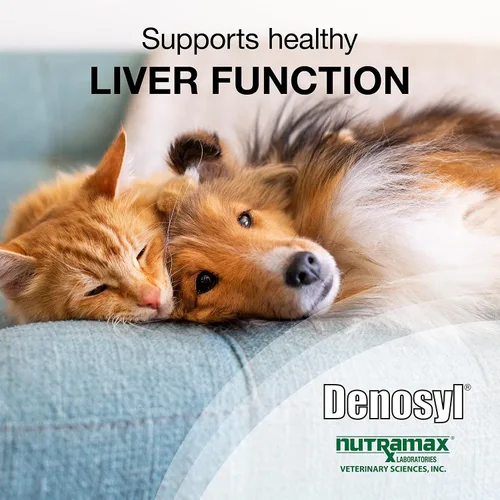 Vista 3 de Nutramax Denosyl para perros pequeños y gatos Brain & Liver Support Supplement for Cats and Dogs Up to 12 lbs, with S-Adenosylmethionine (SAMe)