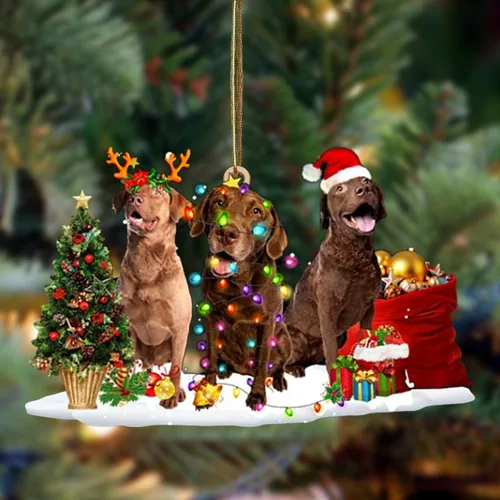 Vista 27 de Nazenti Adorno de Navidad personalizado con amigos Affenpinscher – Adorno de perro personalizado para amantes de las mascotas, acrílico plano