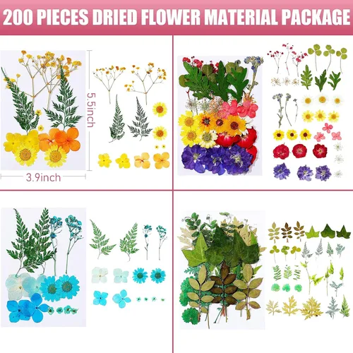 Vista 7 de Nuanchu 200 piezas de flores secas prensadas para resina, flores naturales prensadas reales, hojas a granel para manualidades, manualidades, arte