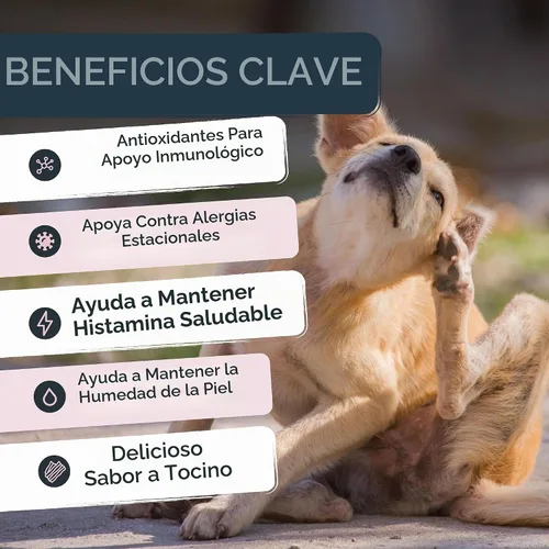 Vista 2 de Mighty Paw Waggables Allergy Immune + Itch (fabricado en los Estados Unidos) Paquete de 2 masticables para perros antipicazón para perros. Vitaminas