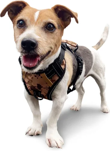 Vista 9 de Arnés antitirones para perro pequeño con 2 hebillas de liberación rápida y mango de fácil control, chaleco suave reflectante sin estrangulamiento