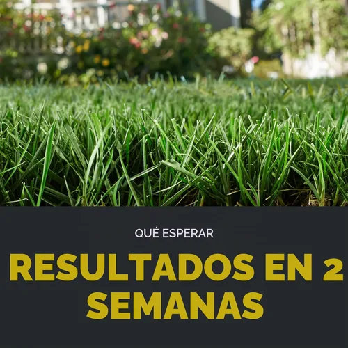 Vista 9 de Scotts Turf Builder Triple Action1, 14.10 libras.