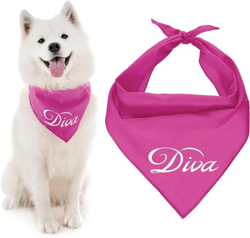 Vista 37 de Parisian Pet Bandanas naranjas para perros – Bandana ajustable para cachorros – Accesorios para perros para niños y niñas – Pañuelo para perros Best