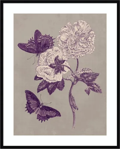 Vista 14 de Amanti Art Lienzo decorativo para pared, 24 x 20 pulgadas, estudio de la naturaleza en ciruela y gris pardo IV por Maria Merian, arte de pared