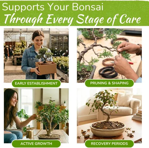 Vista 3 de Alimento para árbol bonsái Fertilizante líquido suave de primera calidad para un crecimiento saludable, tallos fuertes y hermosas floraciones