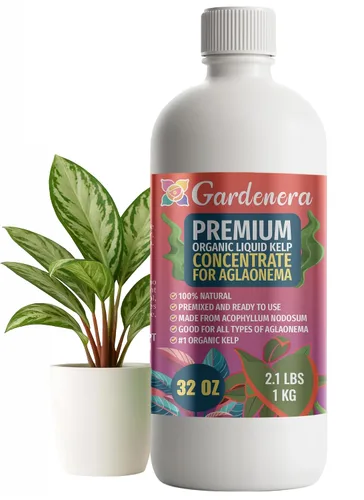 Vista 39 de GARDENERA Superalimento orgánico prémium de algas marinas y algas marinas para plantas AROID - 32 oz - Concentrado de fertilizante líquido de algas
