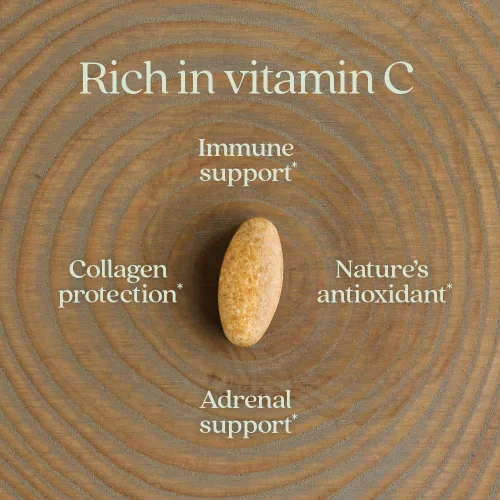 Vista 4 de New Chapter Vitamina C + saúco con vitamina C fermentada, hierbas integrales + protección de colágeno, 60 unidades (paquete de 1)